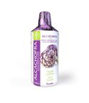Alcachofra Maxiplus 1000ml