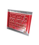 100% Whey Protein Professional 30g