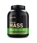Serious Mass 2730g
