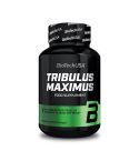 Tribulus Maximus 90 Comp.